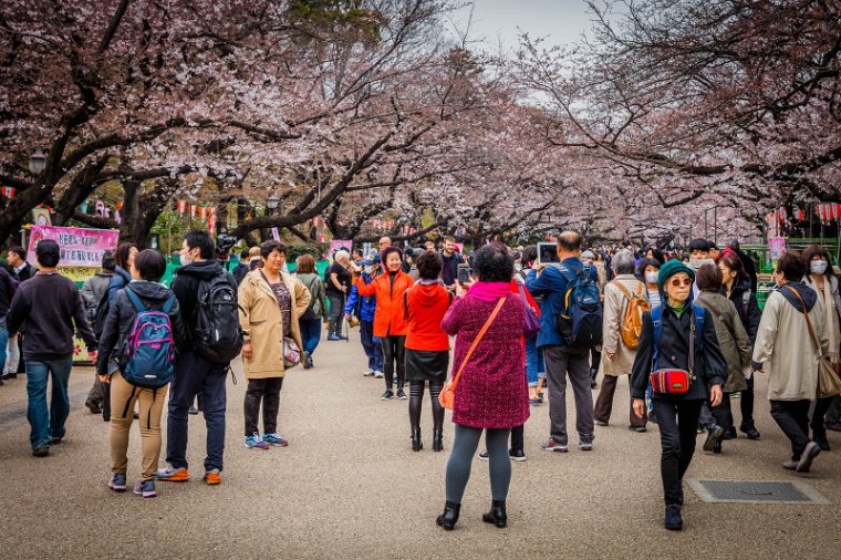 06 Tokyo, ueno park.jpg